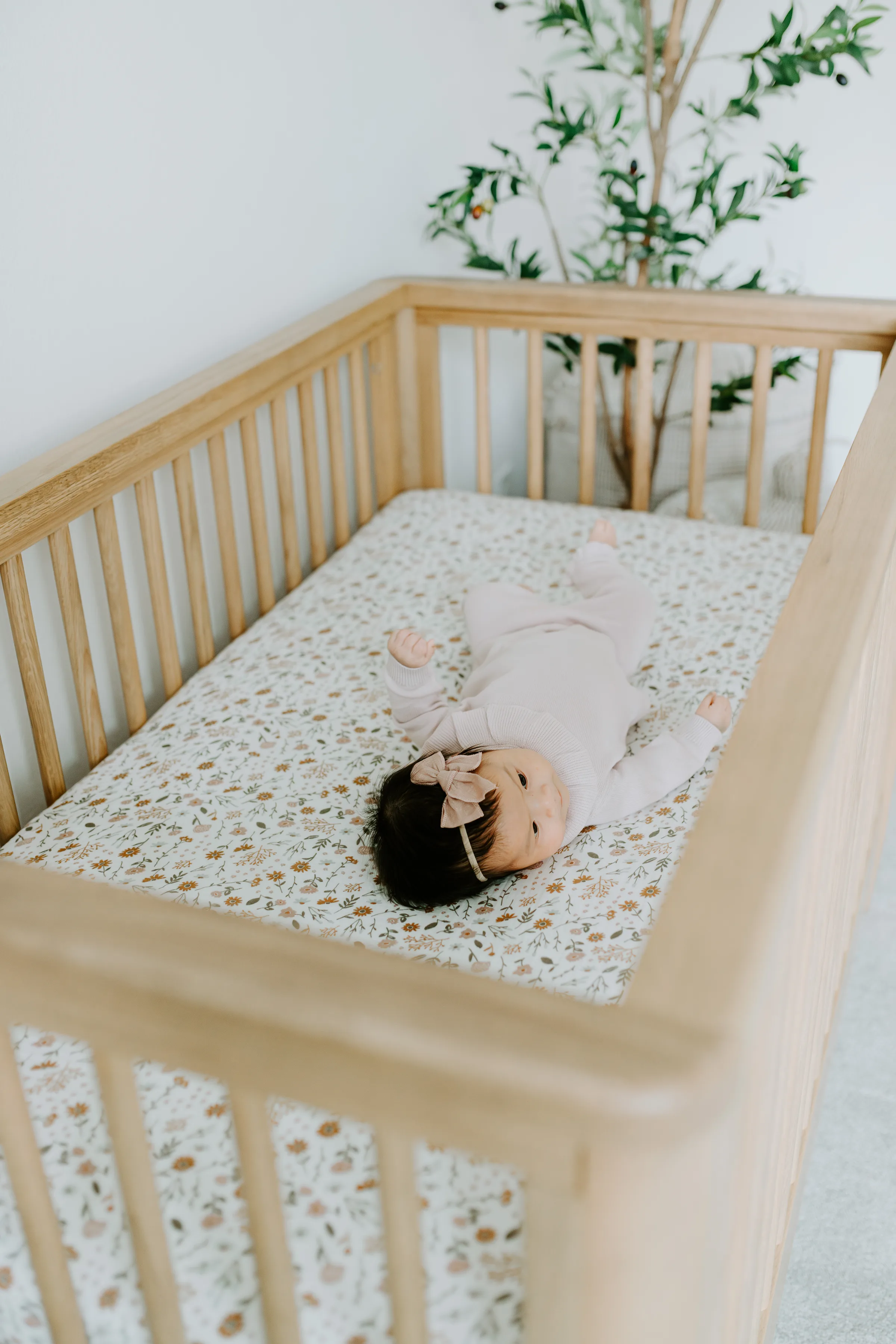 Bellevue Newborn Photographer